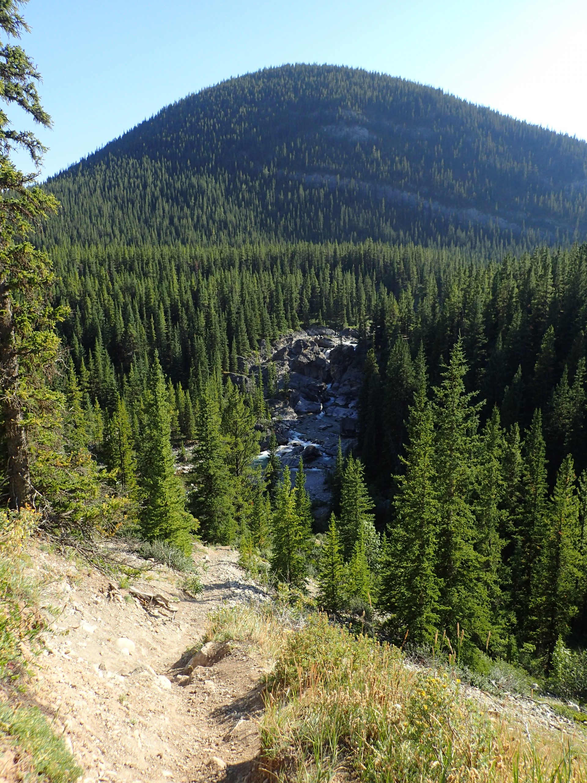 Beautiful Alberta Landscape