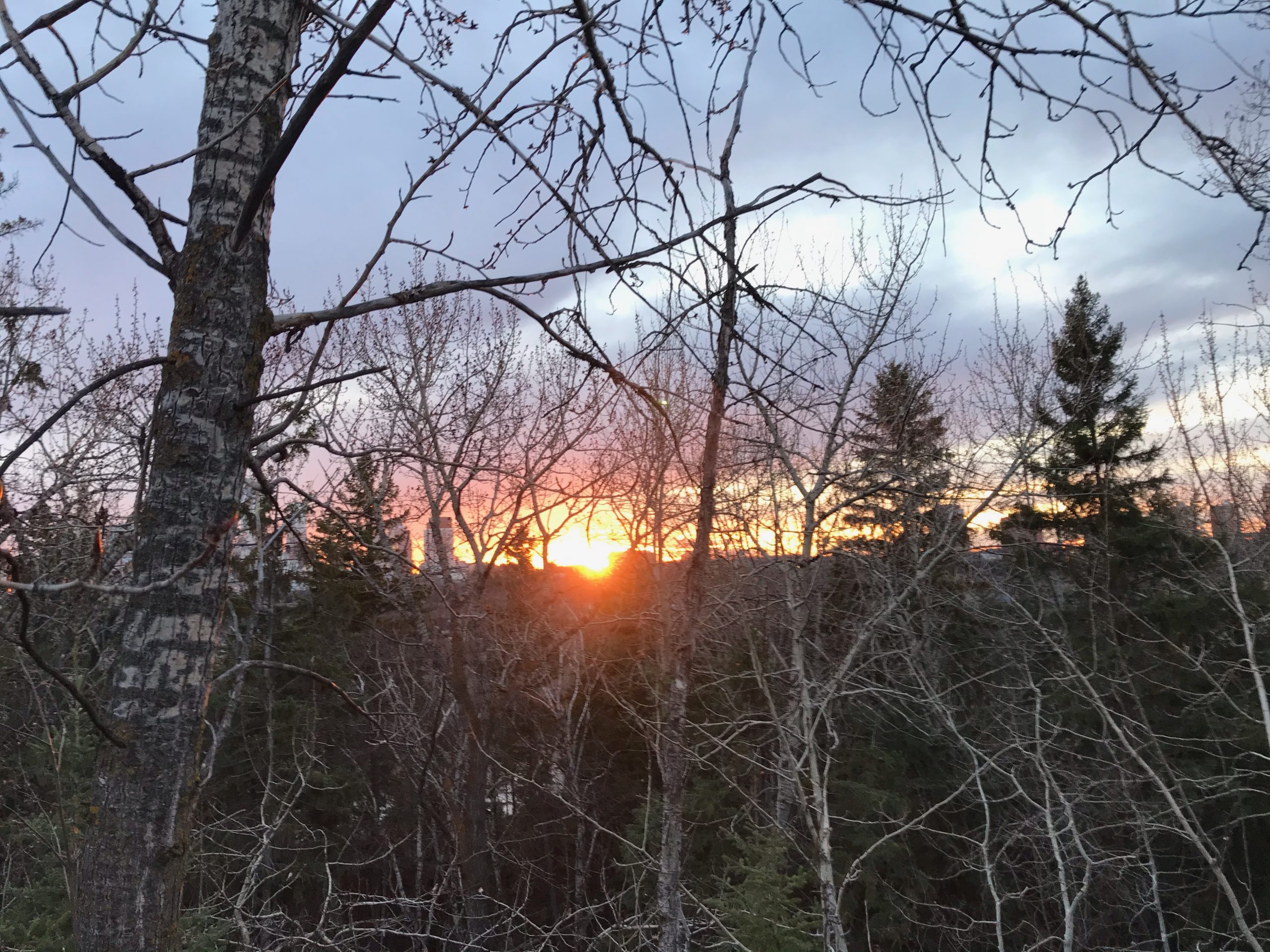 City of Edmonton at Sunset