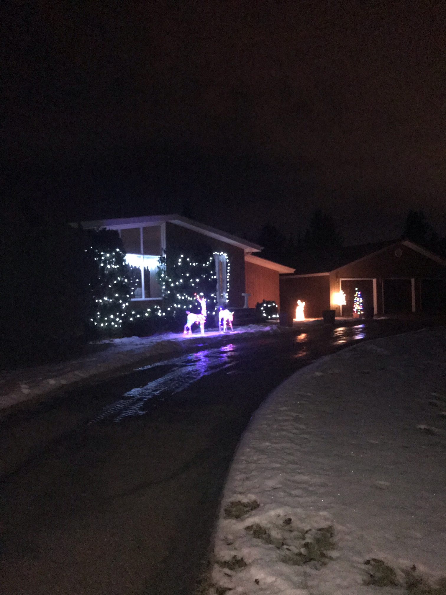 Christmas Decorations