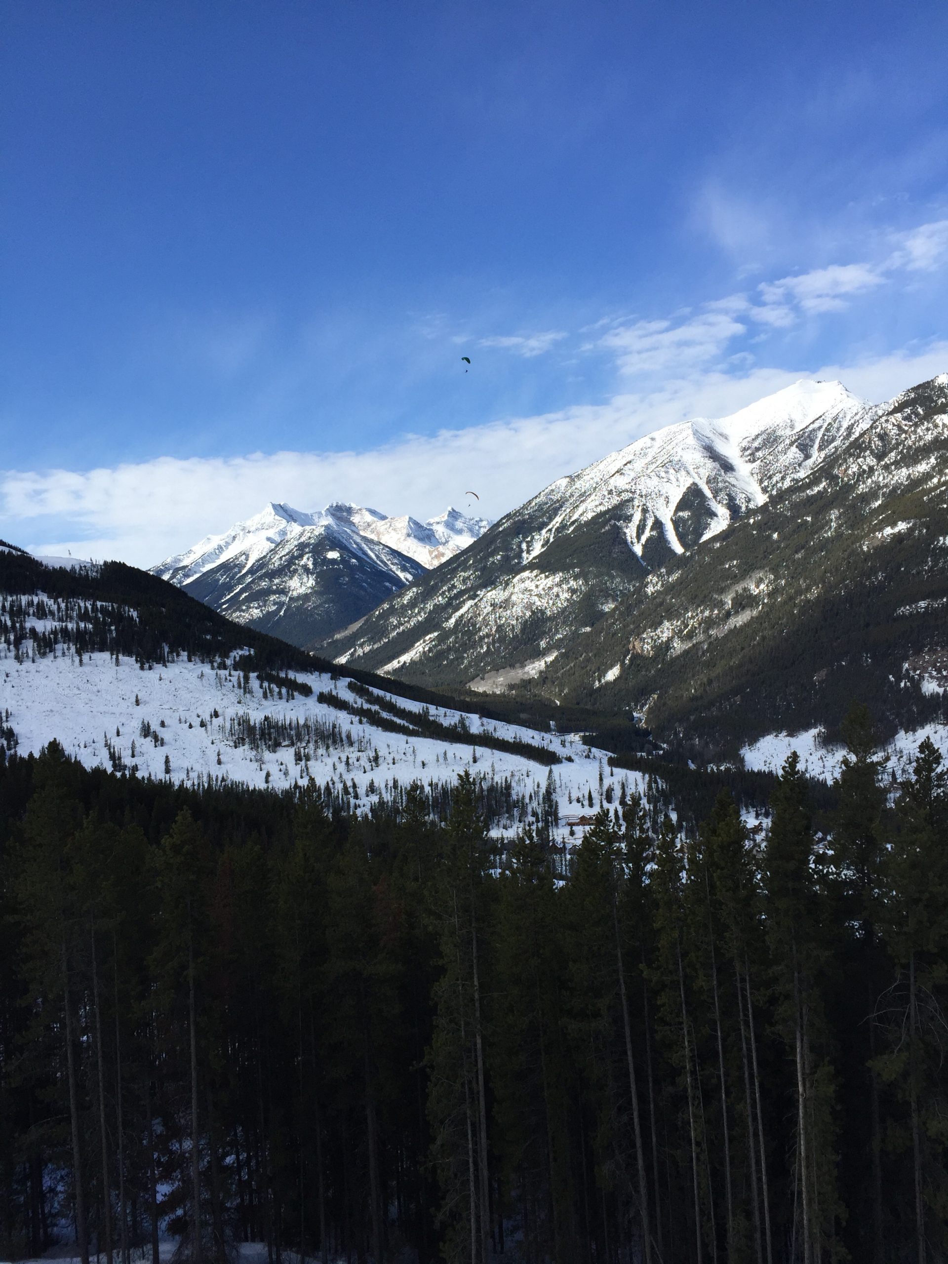 Parachuters in The Mountains
